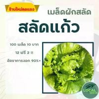 ราคา เมล็ดผักสลัด สลัดแก้ว 100 เมล็ด / 12 แถม 2 อัตราการงอกสูง มีคู่มือการปลูก เมล็ดพันธุ์ เมล็ดพันธุ์ผัก (1729702497077267249)