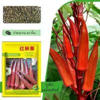 ราคา ประมาณ 80 เมล็ด เมล็ดพันธุ์ กระเจี๊ยบเขียวฝักแดง กระเจี๊ยบเขียวแดง เมล็ดพันธุ์ ฝักแดง นำเข้าจากต่างประเทศAA-13 (1731089497398675830)