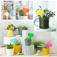 ราคา COD ป้ายชื่อตัว T( 6*10cm )20/50/100 ชิ้น (พร้อมส่ง) ป้ายชื่อพลาสติก PVC ป้ายต้นไม้ สวน เมล็ดพันธุ์ ป้ายแท็ก ป้ายชื่อพลาสติก ป้ายพลาสติกสำหรับติดกระถางต้นไม้ ป้ายชื่อต้นไม้ ป้ายพลาสติก (17322640570920