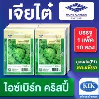 ราคา เมล็ดพันธุ์ ผักซอง ผักกาดหอม ไอซ์เบิร์ก คริสปี้ CT25 ตราเจียไต๋ บรรจุแพ็คละ 10 ซอง ราคา 190 บาท (1733318413773866962)