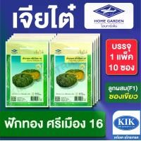 ราคา เมล็ดพันธุ์ ผักซอง ฟักทองศรีเมือง16 CT25 ตราเจียไต๋ บรรจุแพ็คละ 10 ซอง ราคา 190 บาท (1733318671600355282)