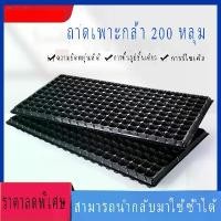ราคา ถาดเพาะกล้า ถาดเพาะชำ ถาดเพาะเมล็ด ต้นอ่อน เมล็ด ไฮโดร 200หลุม ฟองน้ำ กรีนโอ๊ค คอส กรัม ถาดเพาะชำ ถาดเพาะต้นกล้า ถาดเพาะต้นอ่อน ถาดเพาะเมล็ด ถาดเพาะ ถาดเพาะปลูกผัก เมล็ด เมล็ดพันธุ์ (17329154508410402