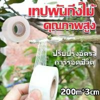 ราคา [COD] เทปพันกิ่งไม้ อุปกรณ์ทำสวน เทปพันตอนกิ่ง อุปกรณ์การเกษตร เทปพันกิ่งทาบ พลาสติกทาบกิ่ง เทปติดตาต้นไม้ฟิล์มยืด (1733458246291064449)