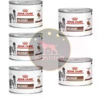 ราคา <ราคาพิเศษ>(5 กระป๋อง)Royal Canin Recovery อาหารสัตว์ป่วยพักฟื้น 195 กรัม. (1733110929088153196)