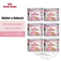 ราคา Royal Canin Mother&BabyCat Mousse อาหารชนิดเปียก แบบกระป๋อง สำหรับแม่แมวและลูกแมวอายุ1-4เดือน 195g x 6กระป๋อง (1733083586713847715)
