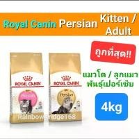 ราคา Exp.2026 ปีหน้า Royal Canin Persian Adult 4kg / Kitten โรยัลคานิน แมวโต ลูกแมว เปอร์เซีย ถุง กก (1733045760693470670)