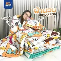 ราคา ผ้านวม รุ่น Single ลายการ์ตูน 60x80 นิ้ว ผ้า Microtex พิมพ์ลาย สีไม่ตก เนื้อผ้านุ่มสบาย အ ိ ပ ္ ယ ာ ခ င း ၂ ေ က ผ้าห่ม แมว หมอน ขนเป็ด เทียม ใย สังเคราะห์ (1733430638516012370)