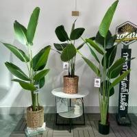 ราคา ต้นใบกล้วยปลอม ต้นไม้ตกแต่งบ้าน ดอกไม้ปลอม - Flowers (1731011516951988856)