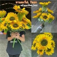 ราคา ดอกทานตะวันปลอม ดอกใหญ่ ช่อ7ดอก ตกแต่งบ้าน ดอกไม้ปลอม sunflower ดอกไม้ประดิษฐ์ ดอกไม้ผ้า ดอกทานตะวัน คําแนะนําผลิตภัณฑ์ใหม่ของเดือนนี้ (1732058282083189927)