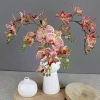 ราคา กล้วยไม้ Phalaenopsis, การจำลอง, 2 ลำต้น, กล้วยไม้ไฟเบอร์เต้นรำ, กล้วยไม้ที่สมจริง, เหมาะสำหรับตกแต่งงานแต่งงาน, ตกแต่งบ้าน, การถ่ายภาพ, ดอกไม้ประดิษฐ์, ดอกไม้ปลอม (1732770384654861851)