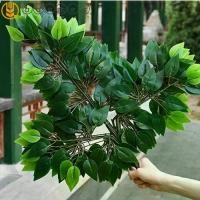 ราคา ต้นข่อยปลอม สีเขียว เรียบหรู สำหรับตกแต่งบ้าน DIY งานแต่งงาน 12 ชิ้นต่อล็อต สาขาหญ้า ปลอม ใบข่อย ดอกไม้ปลอม อุปกรณ์ถ่ายภาพ พร้อมจัดส่ง (1732909860880156345)