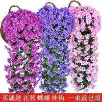 ราคา ดอกกล้วยไม้สีม่วงประดิษฐ์, เถาวัลย์แขวนผนัง, ดอกไม้ปลอม, ดอกไม้พลาสติก, ดอกไม้ตกแต่ง, ดอกไม้แขวนวิลล่าในร่ม (1731814318871972818)