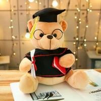 ราคา Graduation Season Doctor Bear Doctor Hat Plush Toy Graduation Doll Stuffed Animal Graduation Gift for Giving (1734107833411274197)