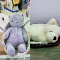 ราคา ของเล่นตุ๊กตาแมวนอนหลับ เวสต์ไฮแลนด์ไวท์เทอร์เรีย ของขวัญ (1733722346879026948)