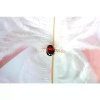 ราคา Rosen'marry/ แหวนพลอยโกเมนแท้ ตัวเรือนเงินแท้ชุบทอง จัดส่งฟรี RR006 , พลอยแท้เสริมดวง , ของขวัญ (1729842383189806018)