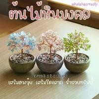 ราคา ต้นไม้หินมงคล ของขวัญ เสริมฮวงจุ้ย โชคลาภ ร่ำรวย ความสูง11 CM ของมงคล ต้นไม้มงคล อเมทิสต์ ต้นไม้ปลอม (1734322153564046525)