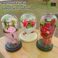ราคา [COD] [tiktok]ดอกกุหลาบ โดมแก้วดอกกุหลาบ กุหลาบในโหลแก้ว มีไฟ ดอกกุหลาบ กุหลาบสบู่ ของขวัญวาเลนไทน์ กุหลาบตั้งโต๊ะ กุหลาบวาเลนไทน์ ของขวัญ (1734287298044331062)