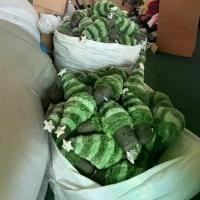 ราคา ตุ๊กตาต้นคริสต์มาสซีรีส์ต้นสนนุ่ม ของขวัญ ตุ๊กตาต้นคริสต์มาส (1733621268195215225)