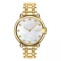 ราคา นาฬิกา COACH รุ่น 14503987 สี GOLD ขนาดหน้าปัด 36 มม. (1733778887161907003)