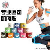 ราคา 2026 เทปกล้ามเนื้อ ผ้าพันแผลยืดหยุ่น เทปกีฬา นักกีฬา เทปคิเนซิโอ เทปเข่า ข้อศอก ฟิตเนส ผ้าพันแผลติดเอง (1734040731382285952)