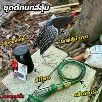 ราคา ชุดดักนกอีลุ้ม(นกอีลุ้มยาง) ได้ครบชุด4ชิ้นพร้อมใช้งาน ครืน31หลัก+นกอีลุ้มยาง+ลำโพง+เสียงนก (1729993158092294788)