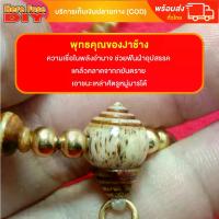 ราคา จัดส่งในกรุงเทพฯ สร้อย สร้อยคล้องพระ สร้อยพระ สร้อยคอ สร้อยคอมงคล สร้อยงาช้าง ทำจากกระดูกช้างแท้100% งานเเต่งเก่าคล้ายJา จี้หัวขุนเป็นงานjาเก่า (SSK2) (1731435803575616771)