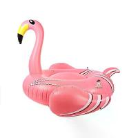 ราคา แพยาง Flamingo Big Size V2 ห่วงยาง ฟลามิงโก้ (สีชมพู) (1734141941528496099)