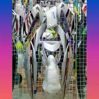 ราคา ชุดสีโซนิค Sonic ตัวใหม่ สีบรอนซ์ สีเทา เฟรมงานABS (1734218431437702617)