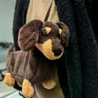 ราคา 123 ตุ๊กตาหมาออตโต้ รุ่นสูงสุด 1:1 ของเล่นตุ๊กตาการ์ตูนน่ารัก วูดู ตุ๊กตาหมี แคร์ แบร์ ฮาโลวีน หมา เดิน ได้ ขนาด 30 ซม สำหรับวัยรุ่น 7-14 ปี (1733040180691568585)