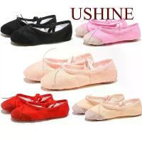 ราคา รองเท้าเต้นบัลเล่ต์, สำหรับเด็กผู้หญิง, วัสดุผ้าใบ, รองเท้าแตะเต้นบัลเล่ต์แบน, รองเท้าบัลเล่ต์, สำหรับผู้ใหญ่, ผู้หญิง, เด็ก, เด็ก, สไตล์คลาสสิก, พื้นแยก, หนังนิ่ม (1730060145836984657)