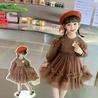 ราคา เด็กผู้หญิง เดรส แขนยาว ฤดูใบไม้ร่วงและฤดูหนาว สีน้ำตาล ตาข่าย ชุดเจ้าหญิง 3-8 ปี เด็ก แฟชั่น กระโปรงขนปุย (1733956859045512777)