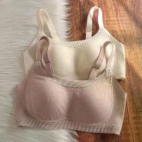 ราคา บราไร้โครง สำหรับผู้หญิง หน้าอกใหญ่ กระชับสัดส่วน บาง คอลเลคชั่นหน้าอกด้านข้าง ป้องกันการหย่อนคล้อย การยกกระชับ คัพเต็ม ไร้สาย [NEW] ชุดชั้นในวาโก้ แท้ เสื้อ ชั้น ใน กีฬา เสื้ (1732078103702177230)