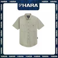 ราคา Hara เสื้อเชิ้ต Classic สีกากี สองกระเป๋าพร้อมกระดุมเหล็ก รุ่น HMGS-901608 (1733042427972716157)