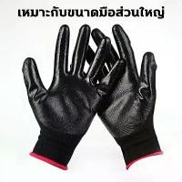 ราคา 2025อัพเดทคุณภาพ ถุงมือเคลือบยาง(12คู่) ถุงมือยางไนไตรสีดำ ถุงมือนิรภัย ถุงมือทำสวน ยางสวนถุงมือ ถุงมือ Rubberized glove (1733183321470043816)