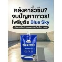 ราคา น้ำยากันซึมโพลียูเรีย Blue Sky 5kg | ใช้ได้สำหรับหลังคา ทาดาดฟ้า พื้นห้องน้ำ และพื้นภายนอก | ซื้อ 1 แถม 1 ฟรีชุดเครื่องมือ (ถุงมือ/เครื่องไขว์/ผ้าโพลิเอสเตอร์) | กันซึม 100% ทนแด (1734296468013811607)