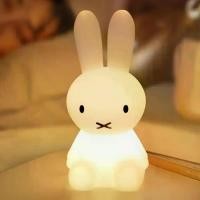 ราคา ตกแต่งเดสก์ท็อป น่ารักน่ารักๆ ไฟกลางคืนสำหรับ3D กระต่ายอะนิเมะ คาวาอิ โคมไฟตั้งโต๊ะแบบมีไฟ ที่ชาร์จ USB การ์ตูนลายการ์ตูน โคมไฟข้างเตียง เด็กเด็กทารกเด็ก (1733679558298338650)