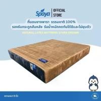 ราคา SPAYA Natural Latex Mattress ที่นอนยางพาราธรรมชาติ 100% [ รุ่น Para Dreams ]ขนาด 6 ฟุต ความหนา 9 นิ้ว | ที่นอน ยางพารา (1730002606357842372)