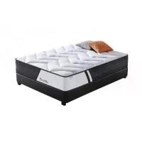 ราคา Global House Truffle ที่นอน Pocket Spring เสริมยางพารา รุ่นRatex 6ฟุต หนา10”รับประกันสปริง 5ปี (1729831181201673093)