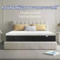 ราคา Hillmoonri ที่นอน รุ่นหนาขึ้น เบาะที่นอน 6 ฟุต 5 ฟุต 3.5ฟุต หนา 8 นิ้ว 10นิ้ว ที่นอนผ่อน paylater ที่ นอน ศูนย์ อากาศ (1733421236665550106)