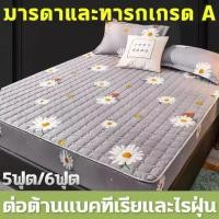 ราคา ส่งฟรี ชุดที่นอน ที่นอน5ฟุต/6ฟุต (พร้อมปลอกหมอน) ต่อต้านแบคทีเรียและไรฝุ่น ระบายอากาศ นุ่มสบาย ดีไซน์ผ้าปูเตียงแบบรัดมุม 360° รวมทุกอย่าง ชุดเครื่องนอน ผ้าปูที่นอน (1732533191066354915)