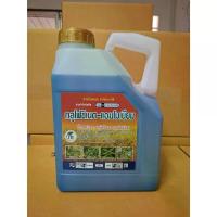 ราคา กลูโฟซิเนต-แอมโมเนียม สูตรพิเศษเผาใหม้ ยาฆ่าหญ้า (1) มีด แคมป์ปิ้ง (1732881712755279835)