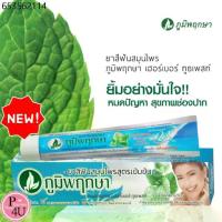 ราคา ยาสีฟัน สมุนไพร ภูมิพฤกษา 50G Poompuksa ยาสีฟันสมุนไพรภูมิพฤกษา #5431 (1733628243296028186)