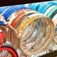 ราคา Takasago Excel Rims , ล้อExcelแท้ สีทองทูโทนนวลๆมันๆ (1733164609167001070)