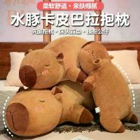 ราคา Capi Barra หมอนกอดคาปิบาร่าเด็กผู้หญิงนอนบนเตียงกอดนอนตุ๊กตาหมอนยาวของเล่นตุ๊กตา ตุ๊กตา ซานตาคลอส เป่าลม นก กล่อมนอน ควาย แก้ว เซเว่น พวงกุญแจ หมี หมอน ข้าง นุ่ม นิ่ม กวน 10cm (1733384091975976905)