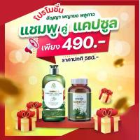 ราคา [แคปซูล+แชมพู] อัญญา สมุนไพร พญายอ พลูคาว (1730011463158761773)