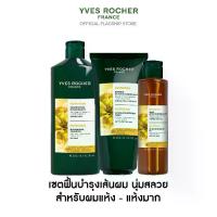 ราคา [แพ็ค3] อีฟ โรเช Yves Rocher Nutrition แชมพูสำหรับผมแห้ง + มาส์กฟื้นบำรุงเส้นผม + ออยล์บำรุงผม สำหรับผมแห้ง แห้งมาก - แชมพู บำรุงผม ผมเสีย (1732709563593884918)