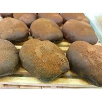 ราคา นิวช็อคโกแลตเมซซี่ จากยามาซากิ#yamazaki#New chocolate messy (1734307115058824887)