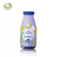 ราคา Milk Plus & More น้ำหัวปลี อัญชันมะนาว 24 ขวด สูตรหญ้าหวาน น้ำตาล0กรัม รสเปรี้ยวหวาน (1732064771852765586)