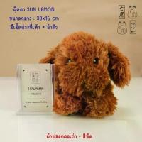 ราคา ตุ๊กตา หมา พุดเดิ้ล สีน้ำตาล SUNLEMON , Plush Doll Lap Dog Plush Hiza Wanko Toy Poodle Brown Tjn (1734252174684816467)