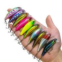 ราคา เหยื่อตกปลา เหยื่อปลอม อุปกรณ์ตกปลา เหยื่อปลั๊ก Fishing Lure Plastic Bait Lure For Fishing 55mm/6.5g 3D Eyes เหยื่อตกปลาโลหะ กระดี่เหล็ก3มิติSP112 (1734051681121830486)